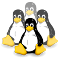 Linux Cluster